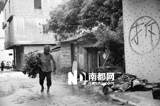 8月17日,增城高桥二社一位80多岁的老人留在村中不愿搬家。