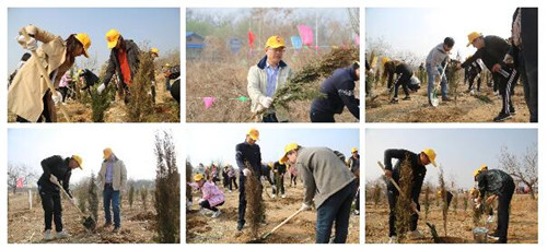 植树催浓春意,播绿造福后人——2019京平律师义务植树活动